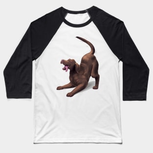 Chocolate Lab - Play Pose Baseball T-Shirt